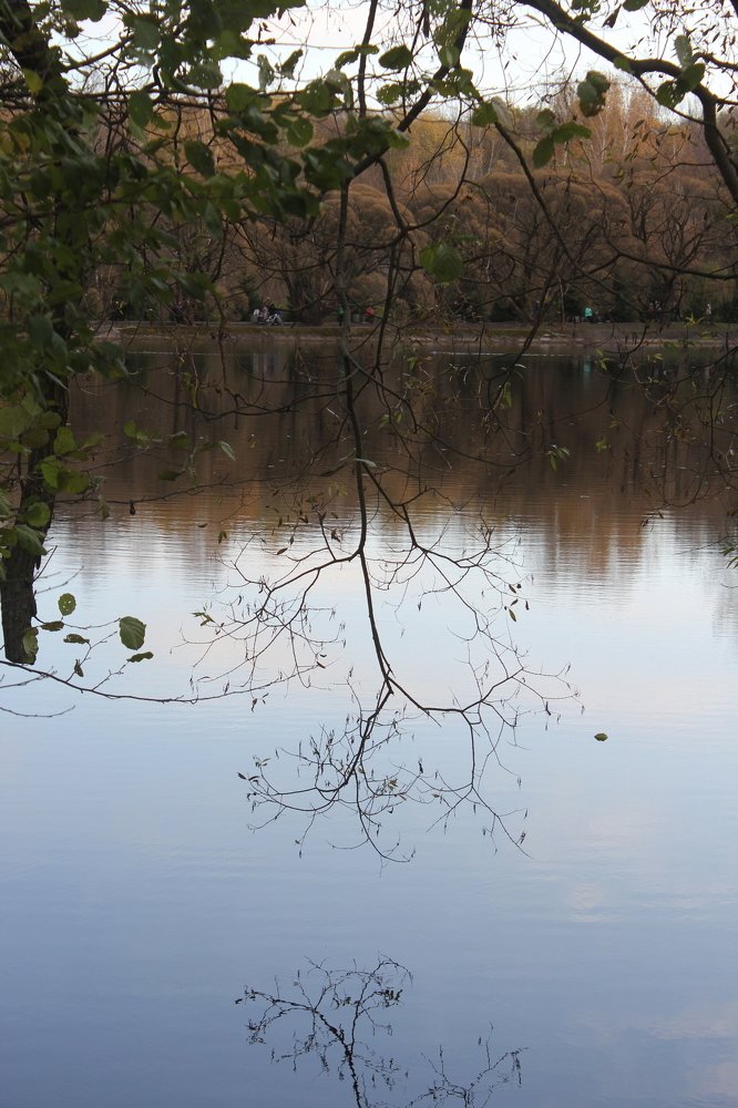 Photograph by Юрий Макаренко