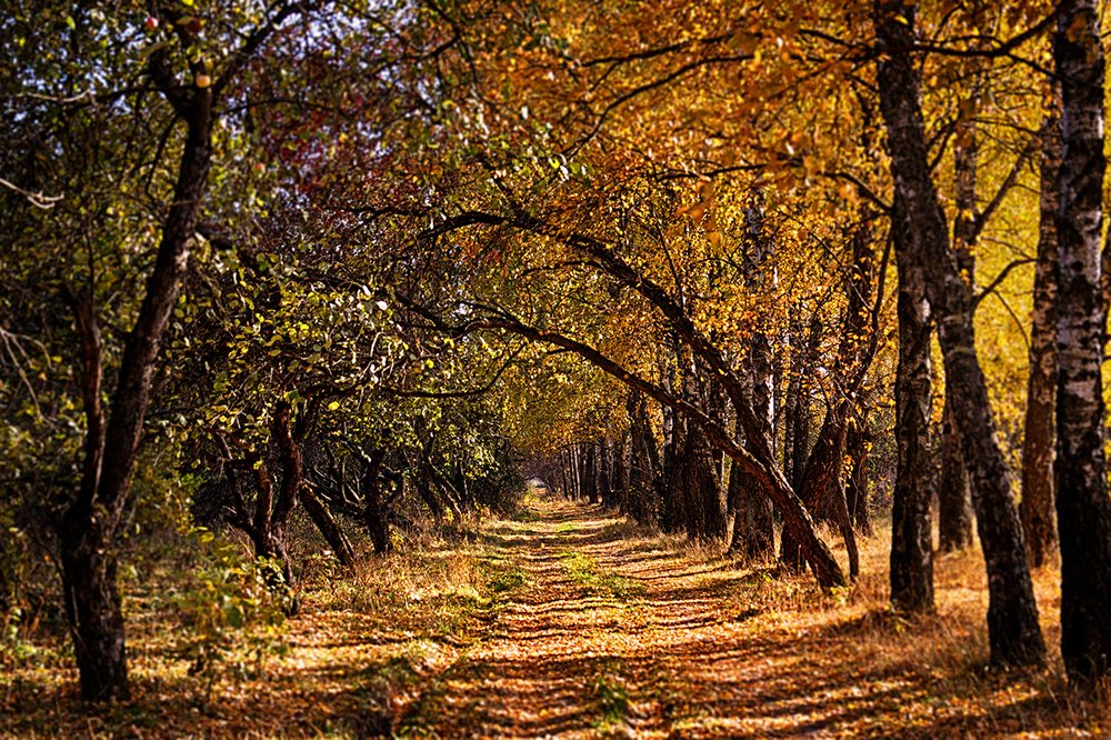 Photograph by Делана Романова