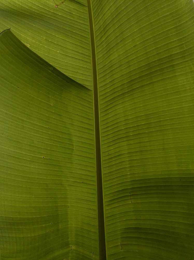 Photograph by Ксения Щербакова