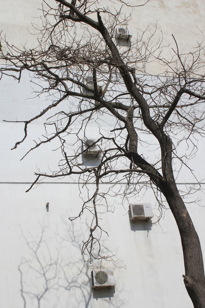 Photograph by Юрий Макаренко