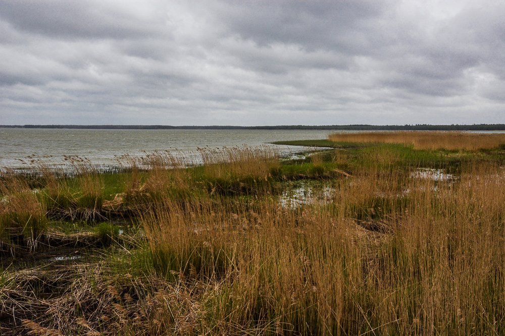 Photograph by Нина Степаненно