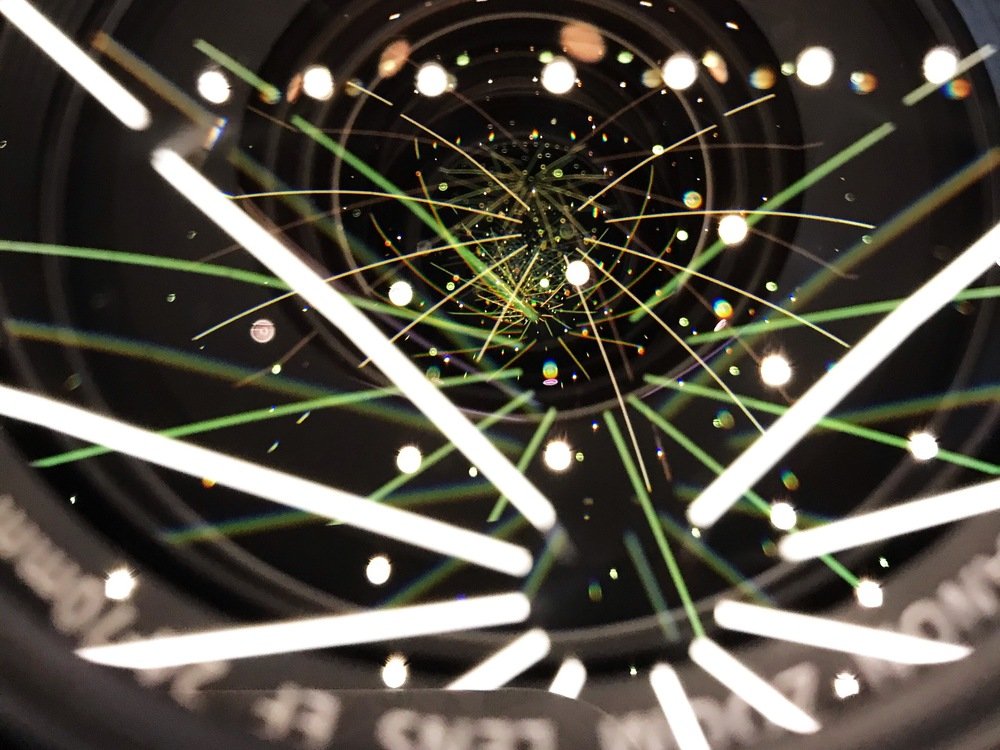 Фотография автора Гудкова Светлана