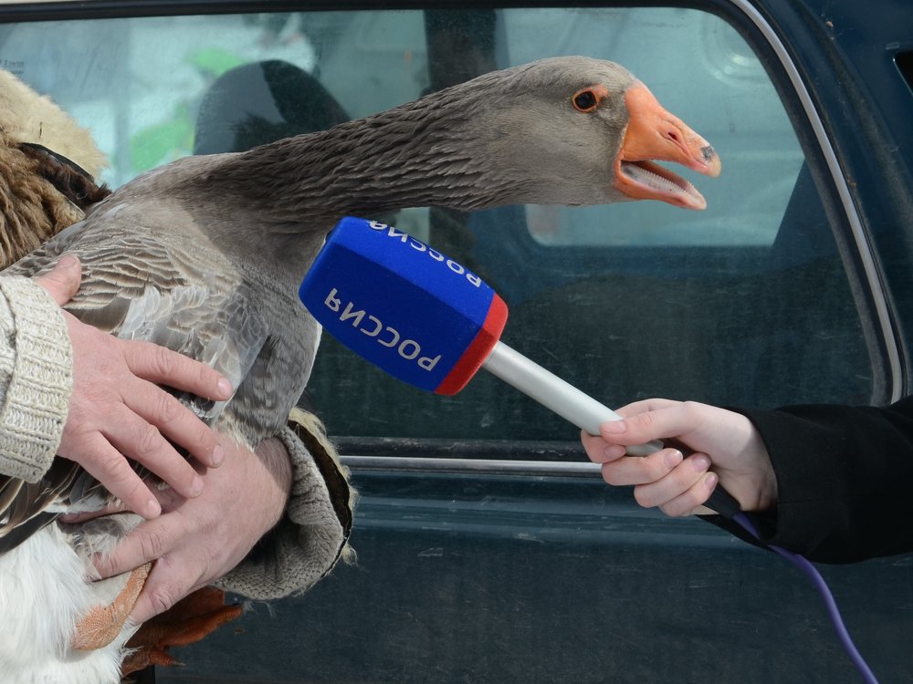 Interview with the winner