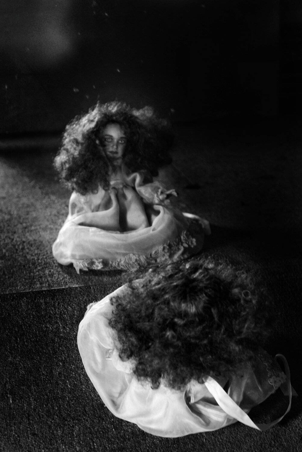 Photo #5156627