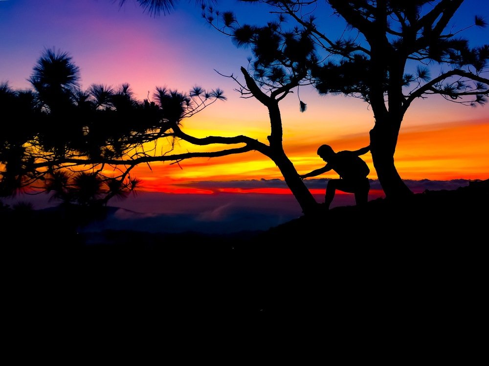 Photograph by Joel Kewan