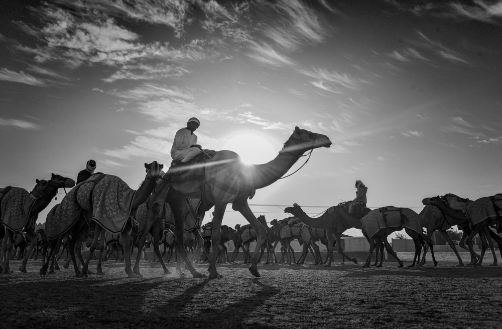 Photograph by Rishad