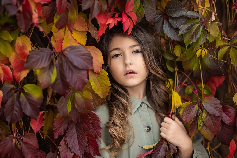 Photograph by Чернышова Татьяна