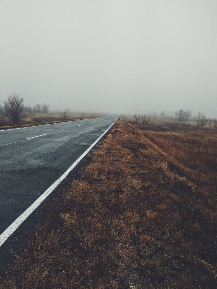 Photo #5156776