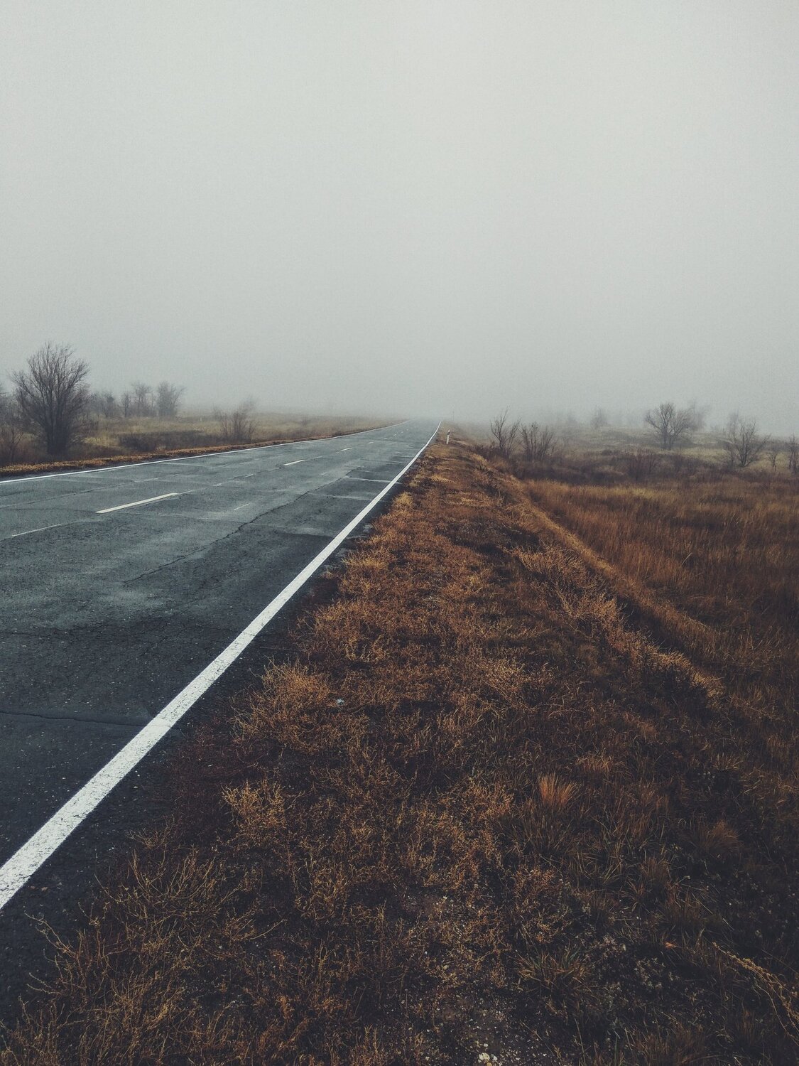 Photo #5156776
