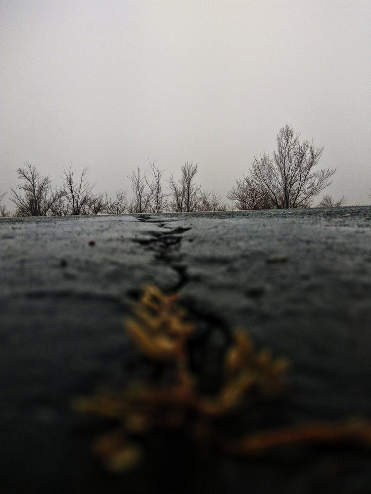 Photo #5156781