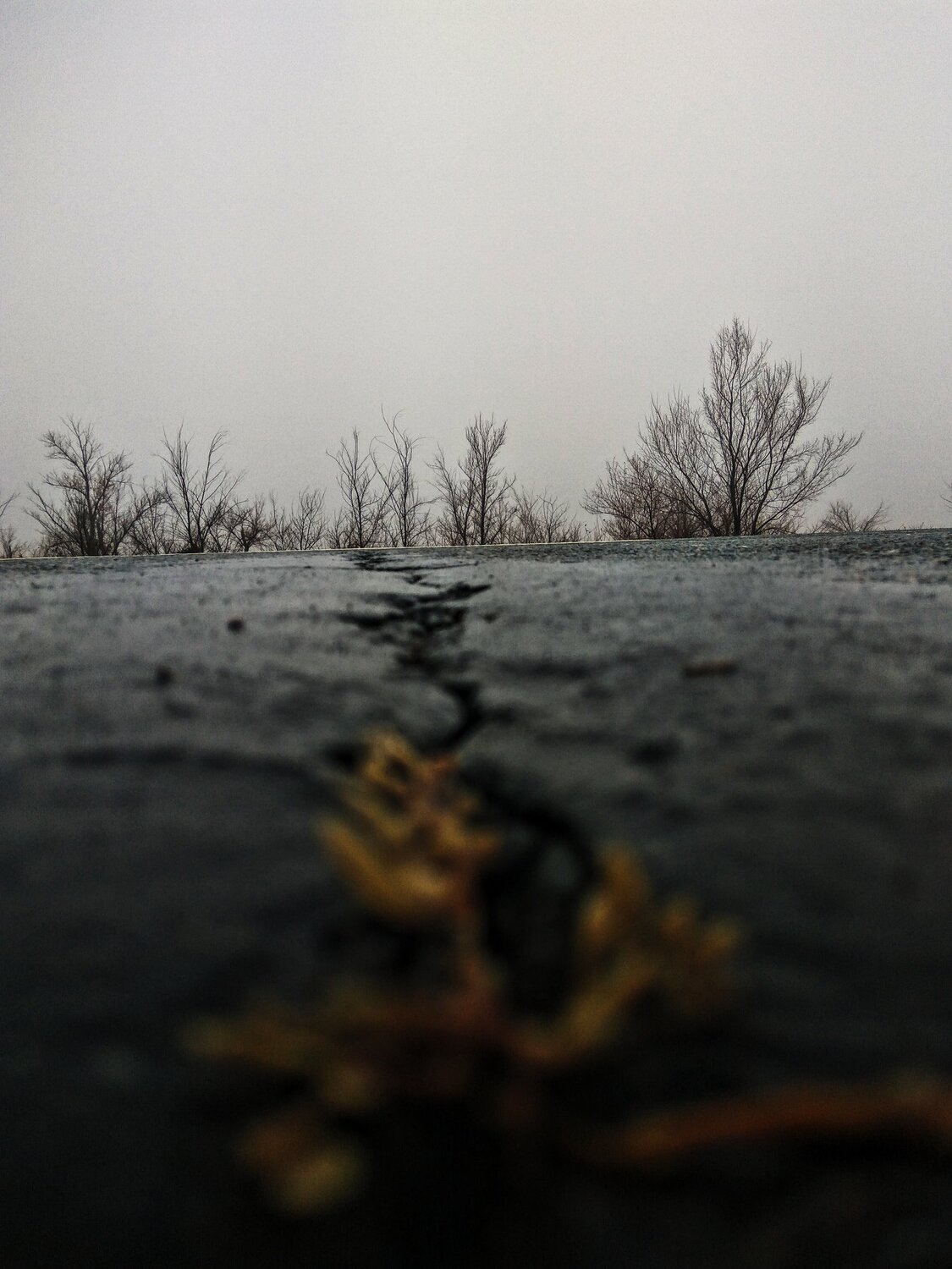 Photo #5156781
