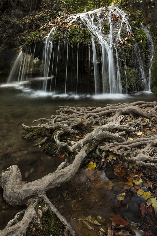 Photograph by Дериглазова Марина Владимировна