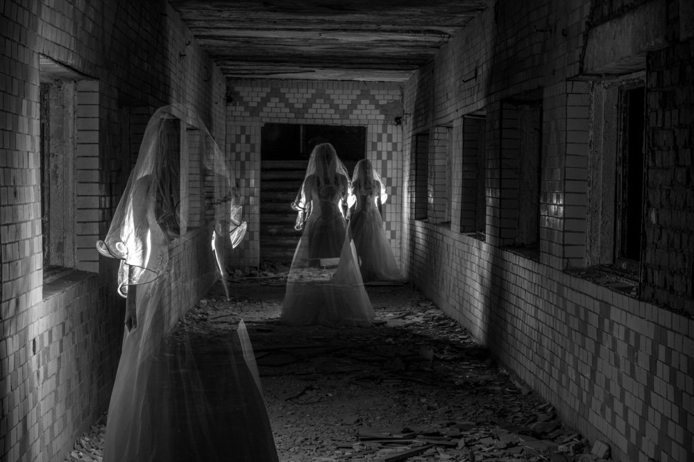 Фотография автора Антонина Вишневская