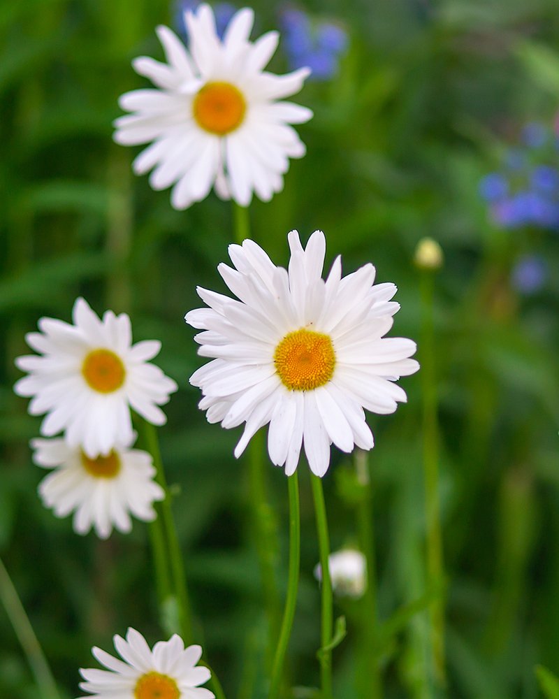 Photograph by Андрей