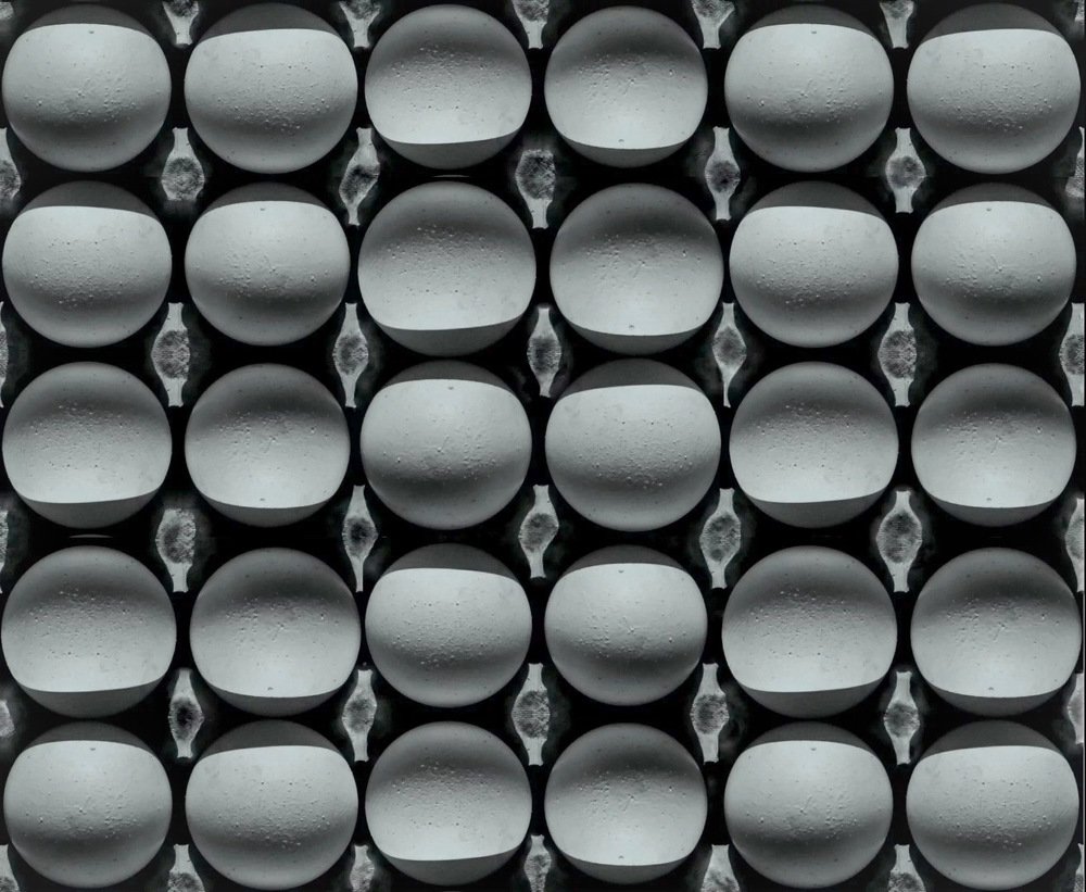 Фотография автора RAHUL TRIPATHI