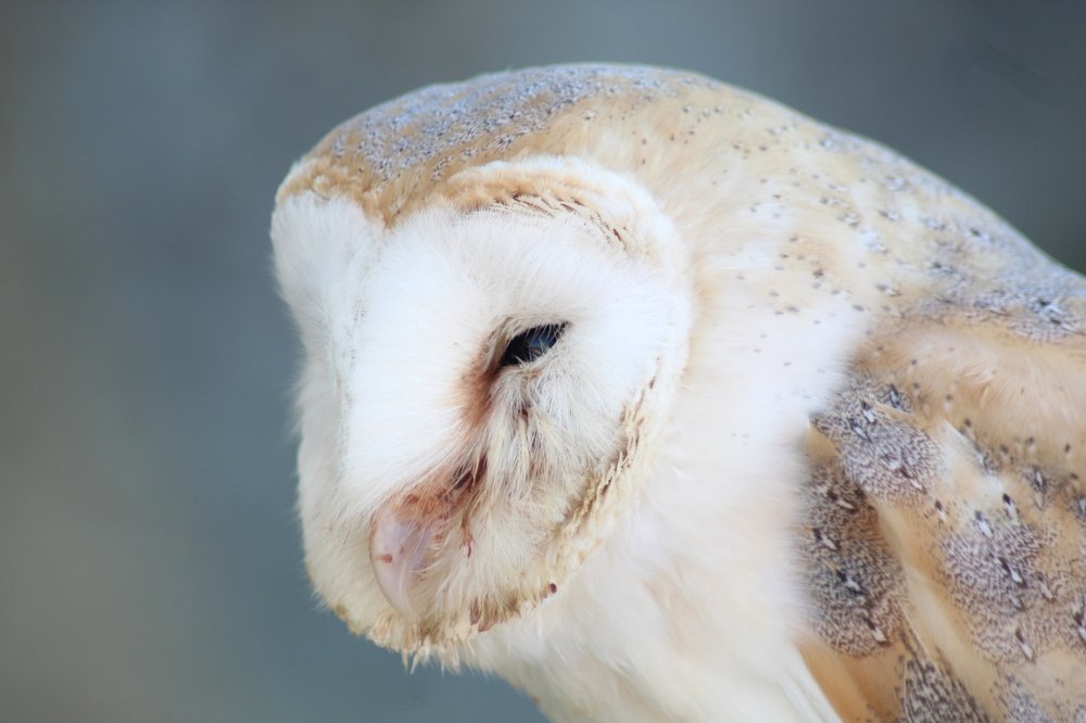 Photograph by Francisco Ferreira