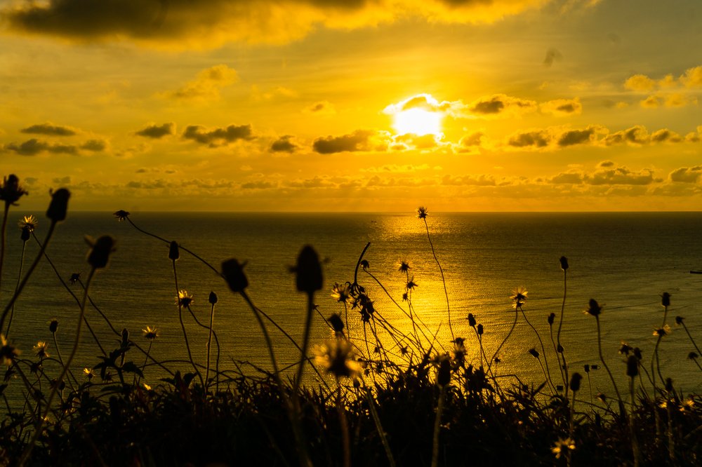 Фотография автора nguyễn đứcsjk