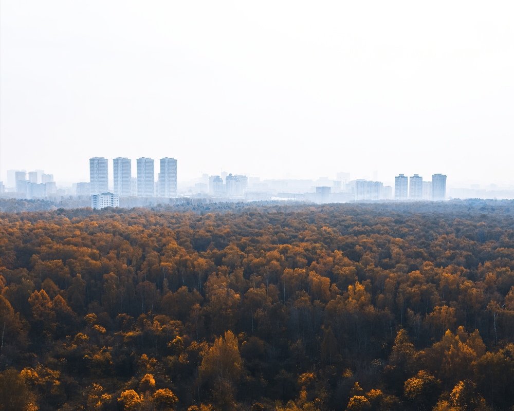 Photograph by Даниил Ларионов