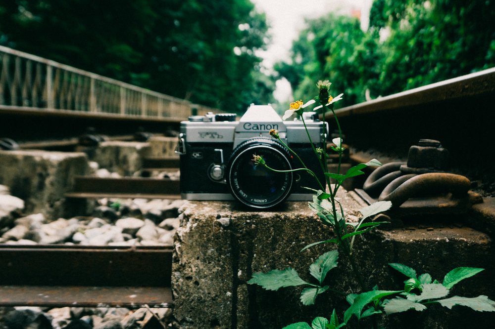 Фотография автора nguyễn đứcsjk