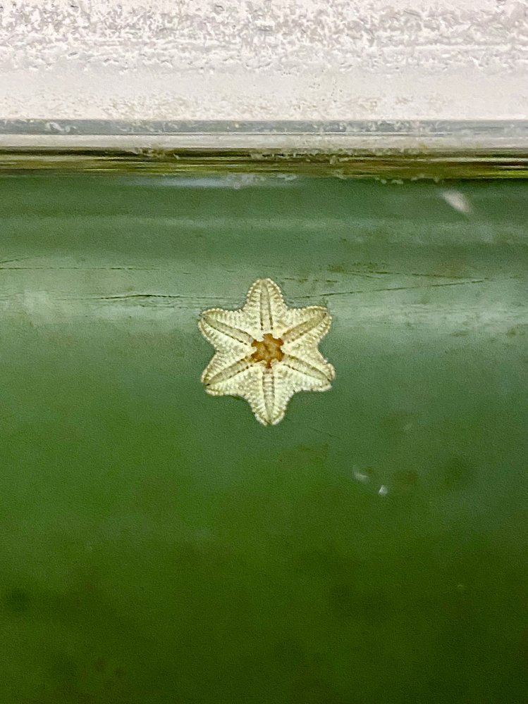 Photograph by Игорь Мурзенко