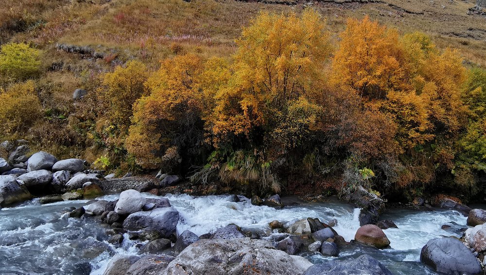 Photograph by Valentina