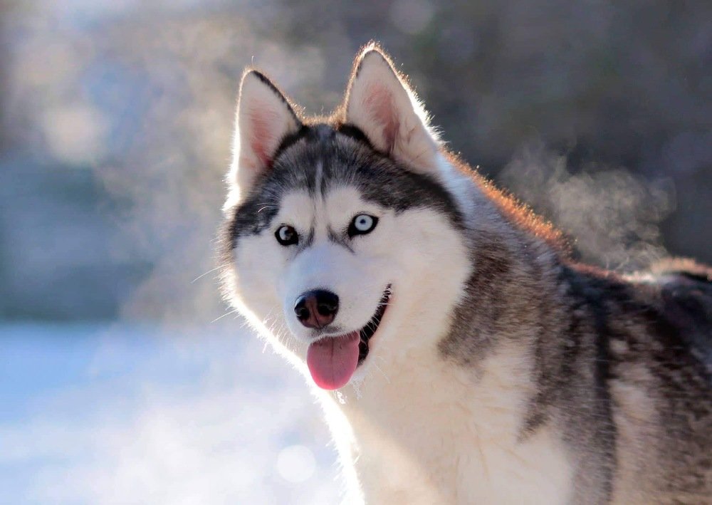 Photograph by Елизавета Болотникова