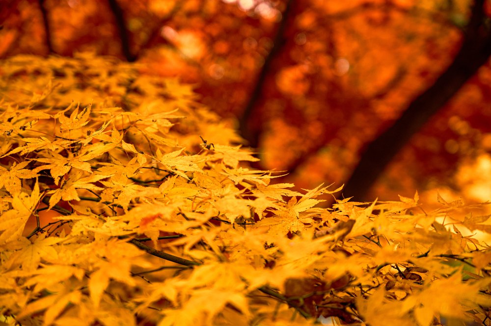 Photograph by Agnieszka Szadowiak