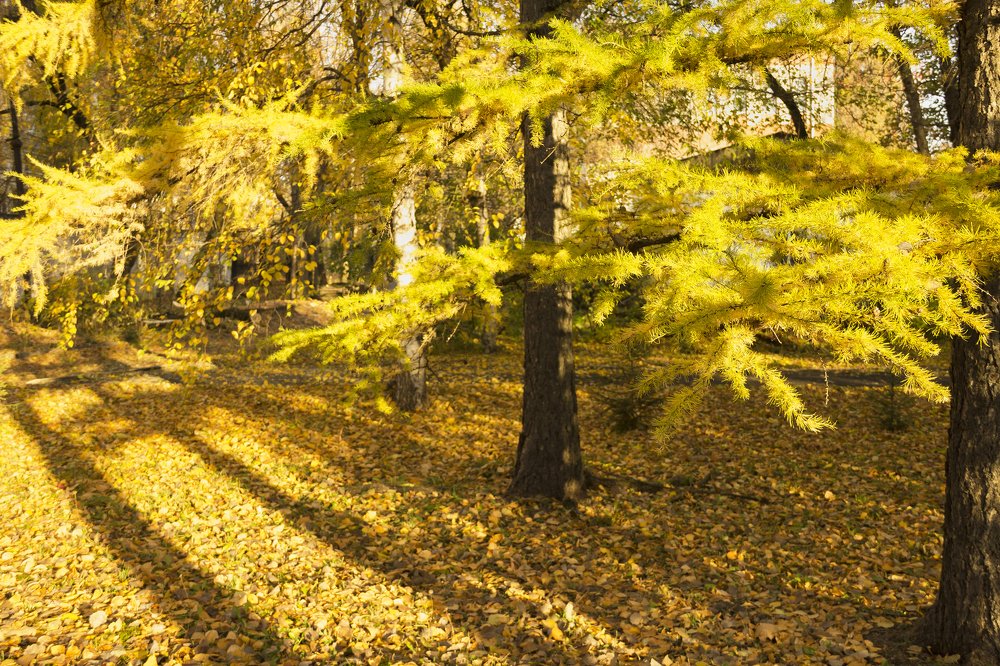 Photograph by Утёмов Сергей