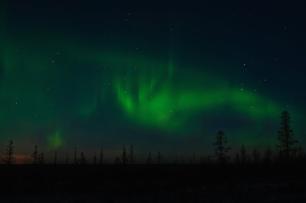 Фотография автора Евгения Шаравар