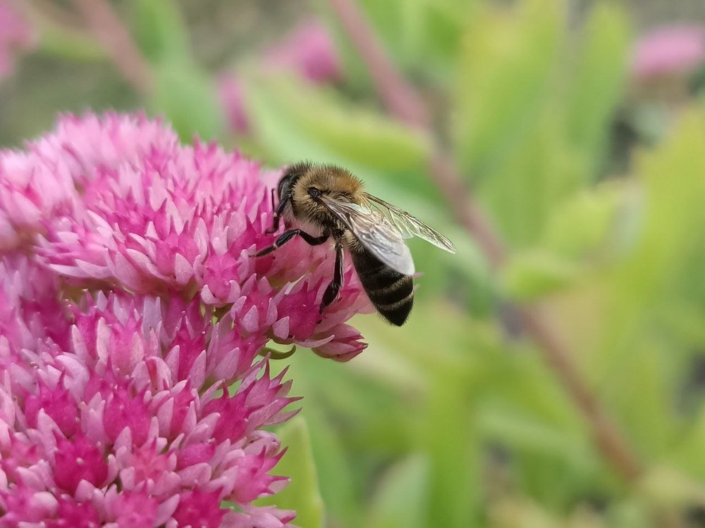 Photograph by Наталия Питолина