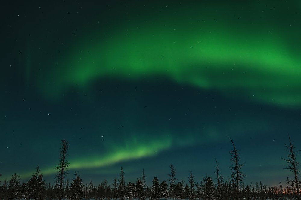 Фотография автора Евгения Шаравар