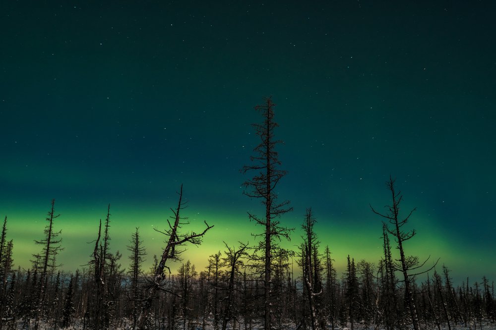 Фотография автора Евгения Шаравар