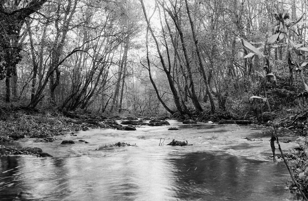 Photograph by Andres Papp