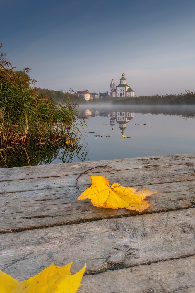 Фотография автора Мартыненко Дмитрий