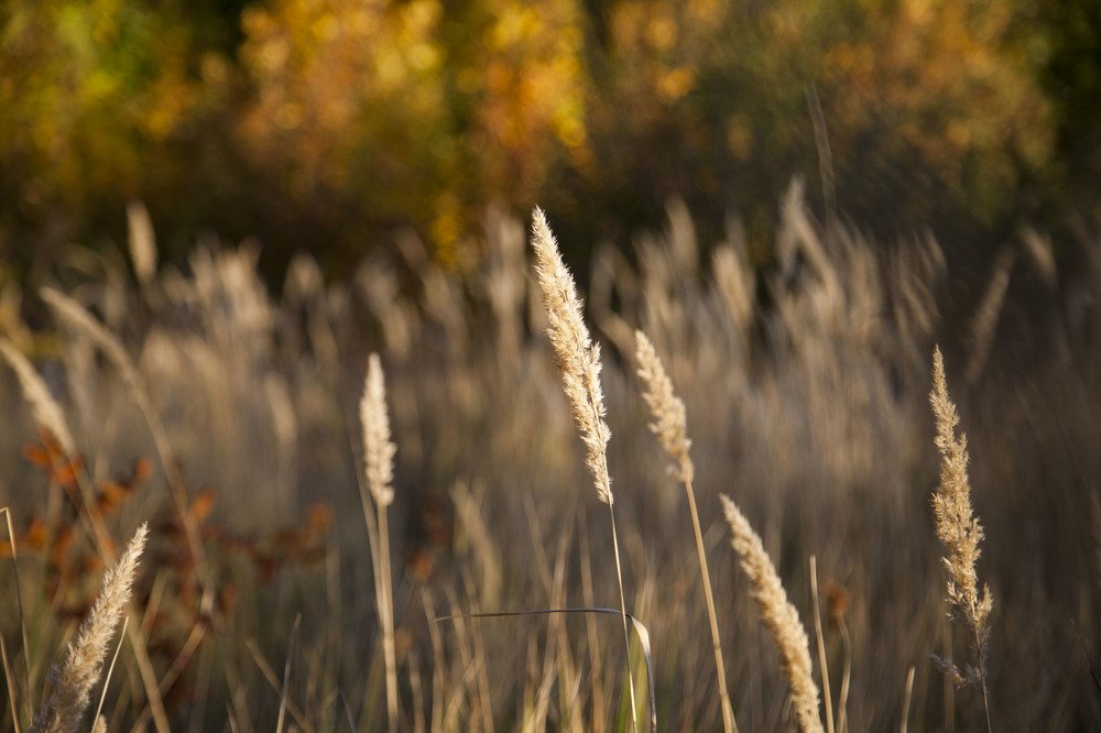 Photograph by Усатый Александр