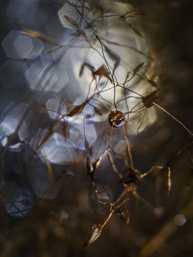 Photograph by Ольга Воронова