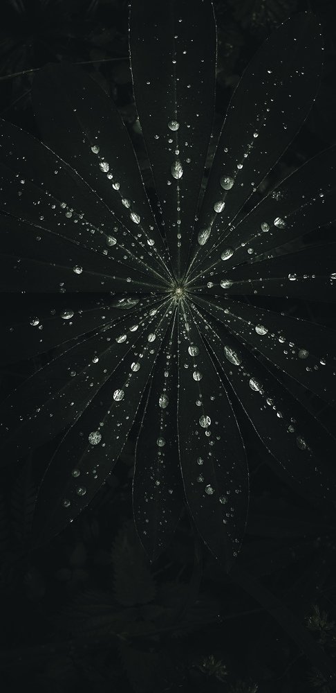 Photograph by Татьяна Галкина