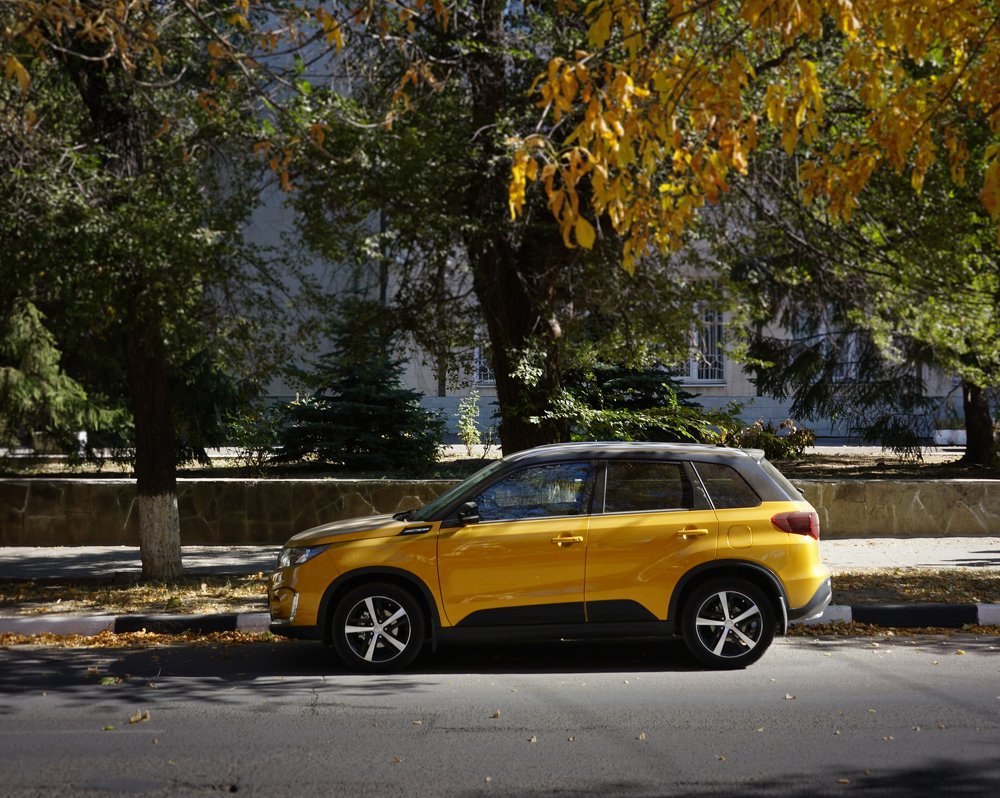 Золотая осень