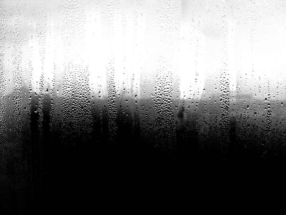 Photograph by Irina Magdalena Bivolaru