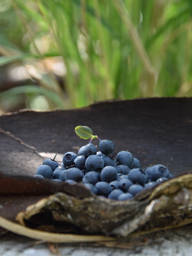 Photograph by Валерий Гудков