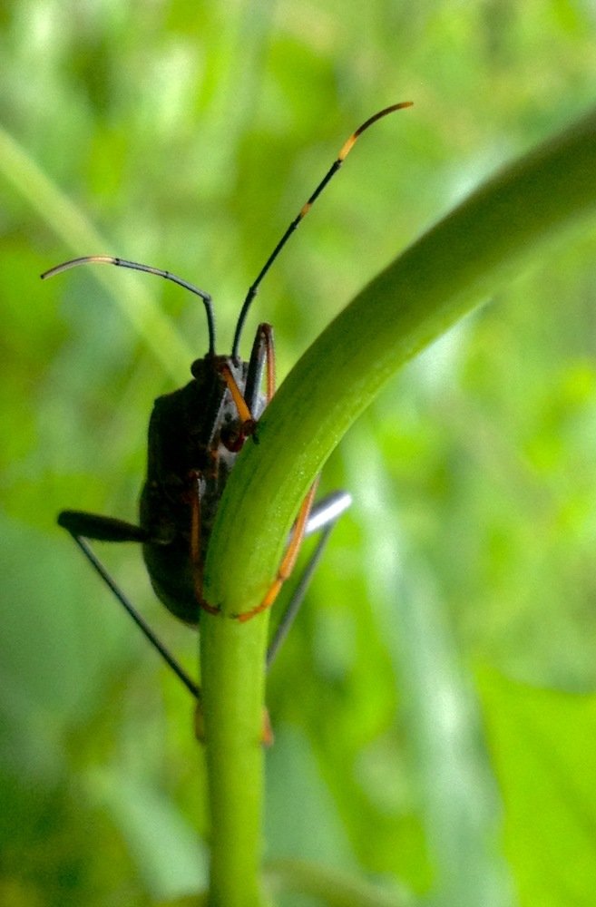 Фотография автора Abir Duley