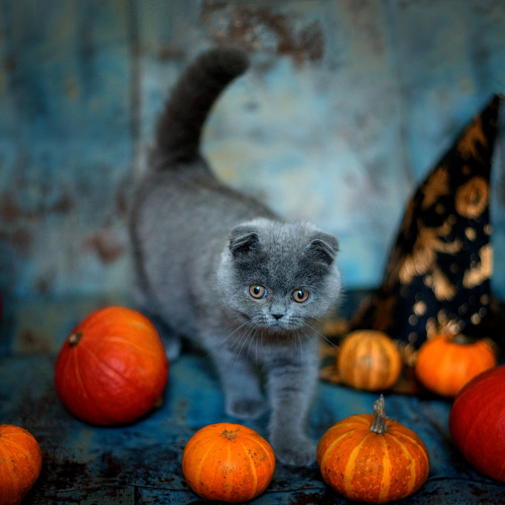 Photograph by Анна Нароженко