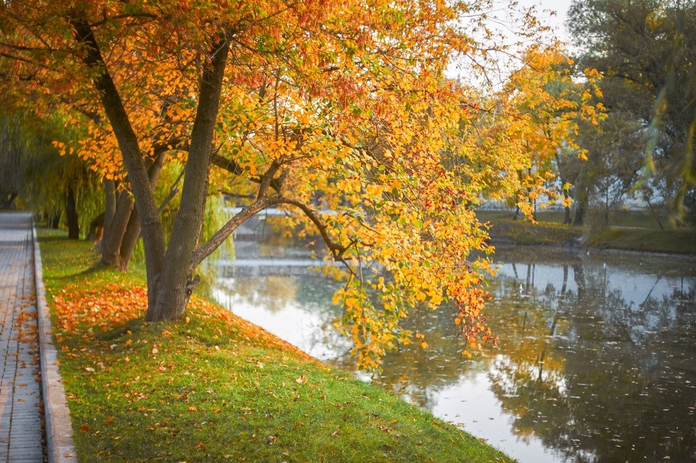 Photograph by Alexander Coin