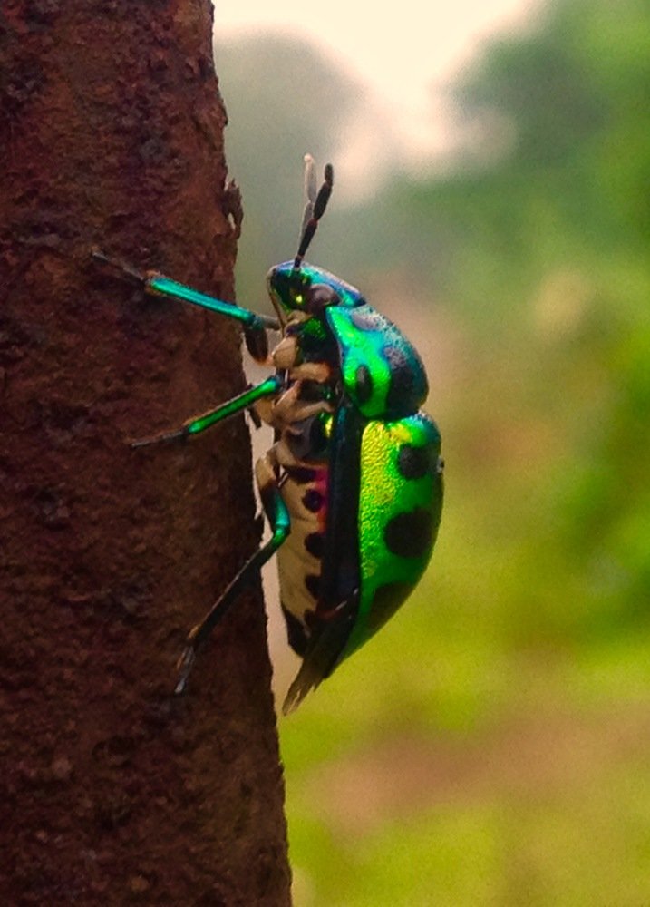 Фотография автора Abir Duley