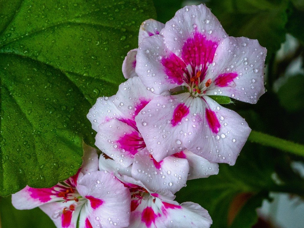 Photograph by mikhail goryachev