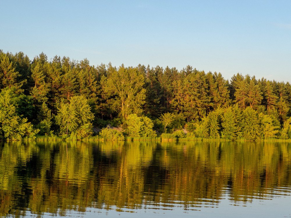 Photograph by mikhail goryachev