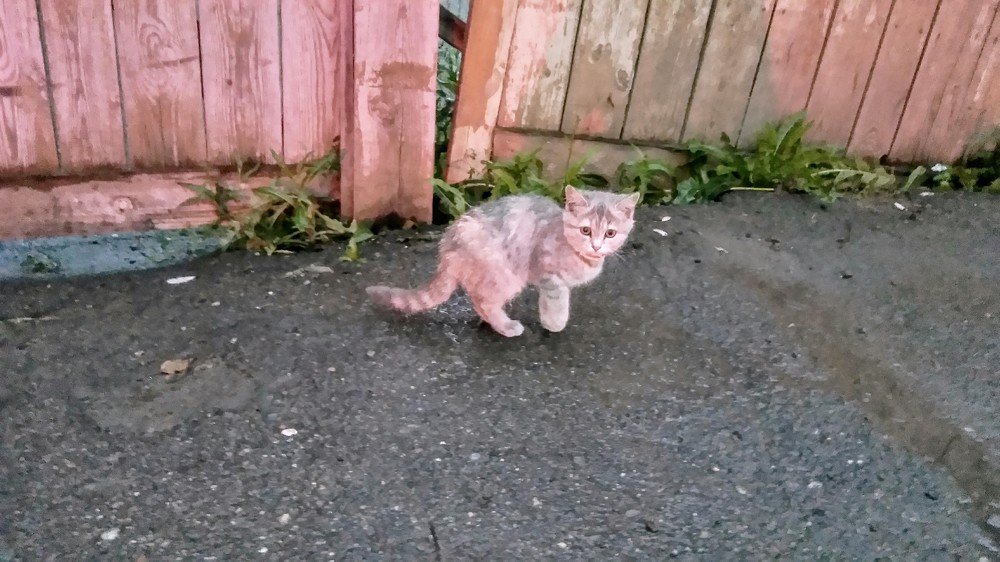 Photograph by Ирина Корнева