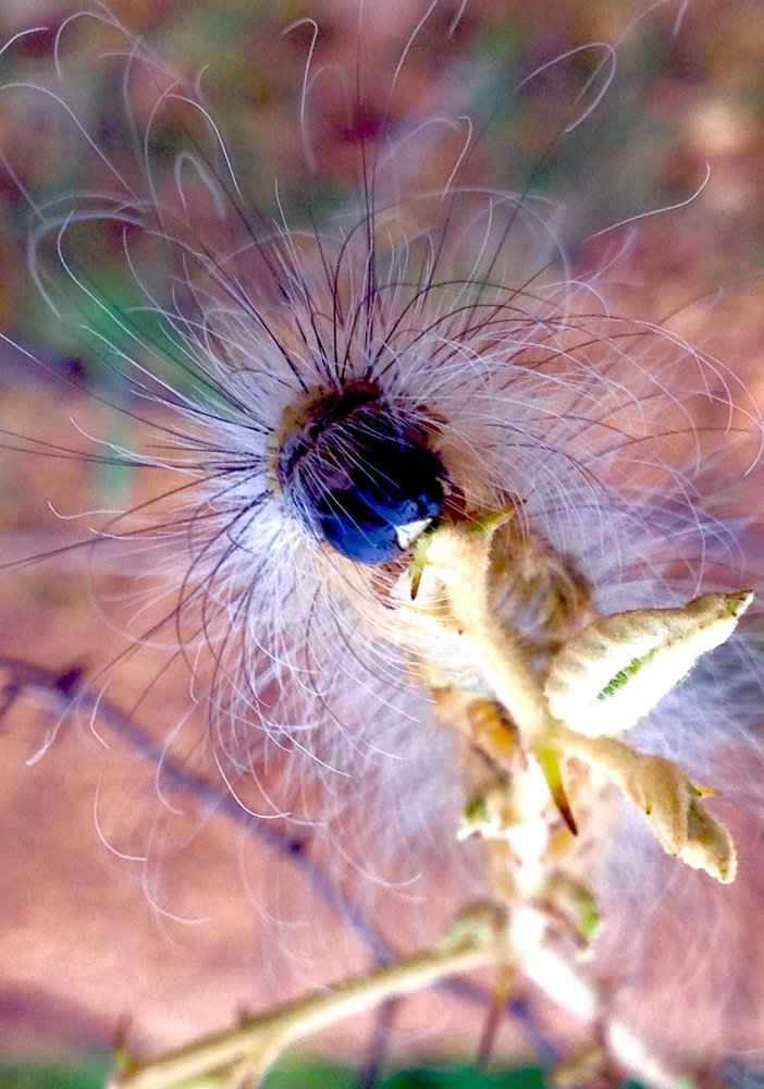 Фотография автора Abir Duley