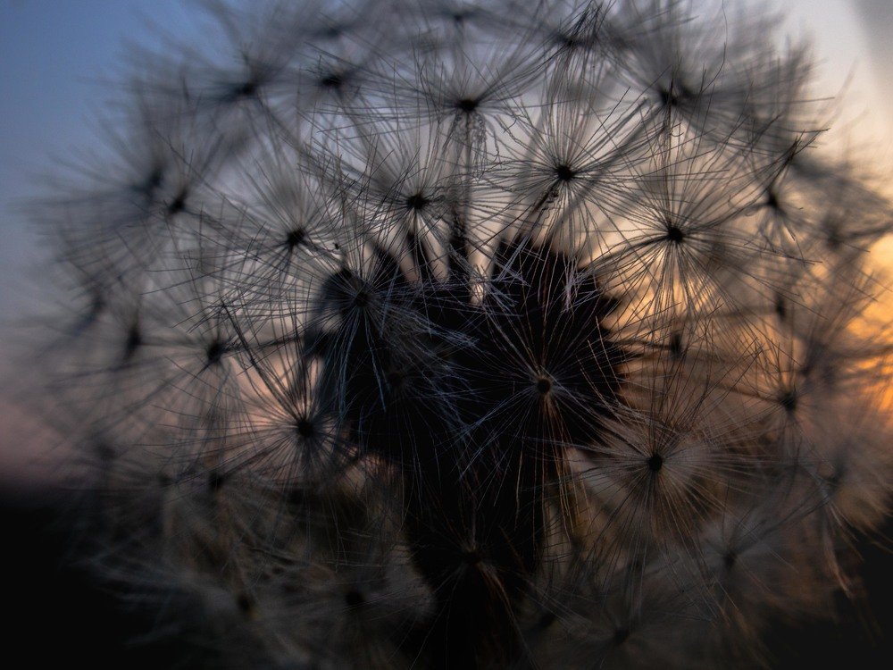 Photograph by mikhail goryachev