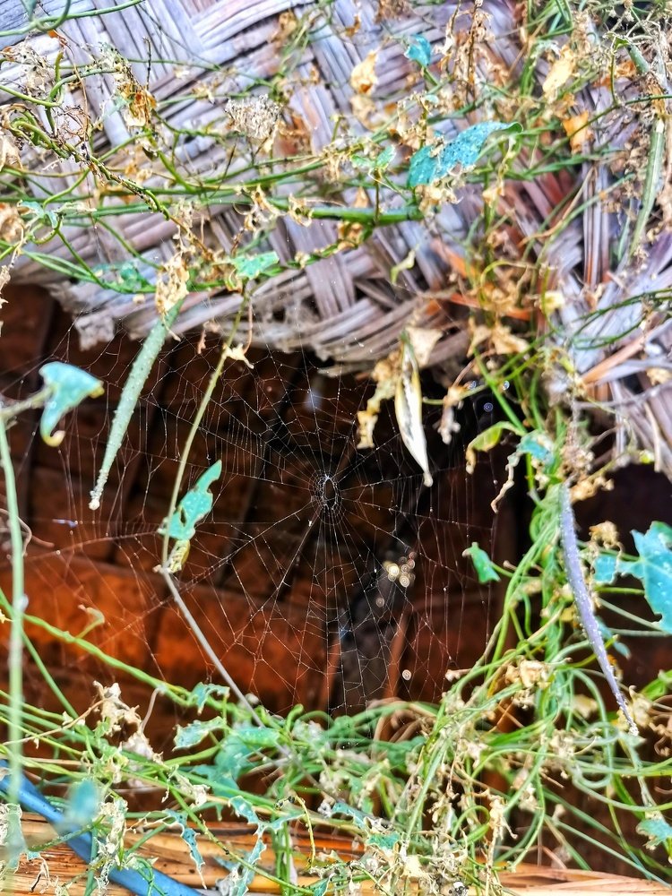 Photograph by zainalabdeen mard